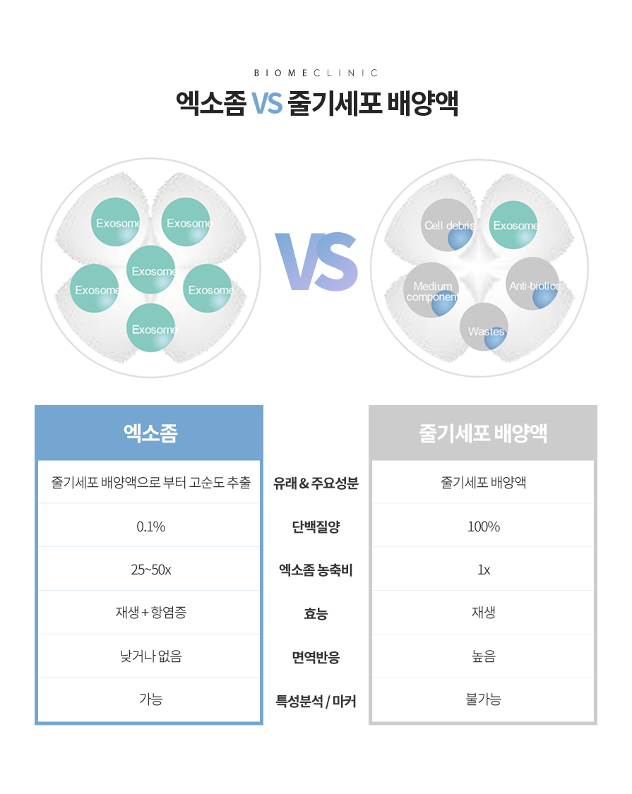 엑소좀