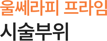 울쎄라피 프라임 시술부위